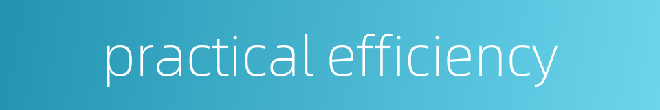 practical efficiency的同义词