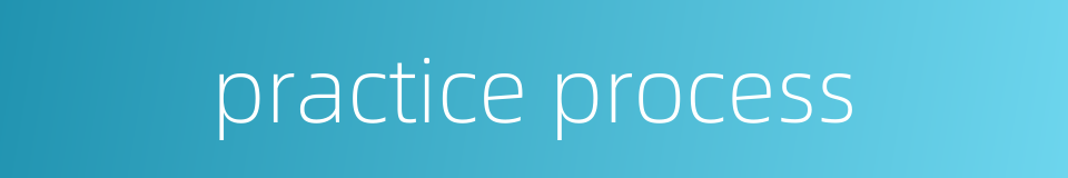 practice process的同义词