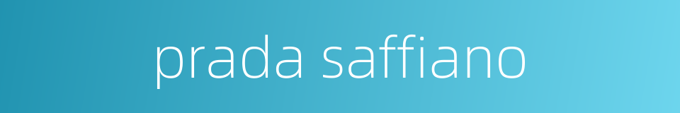 prada saffiano的同义词