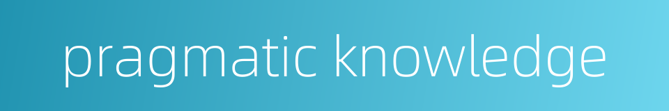 pragmatic knowledge的同义词