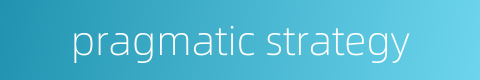 pragmatic strategy的同义词