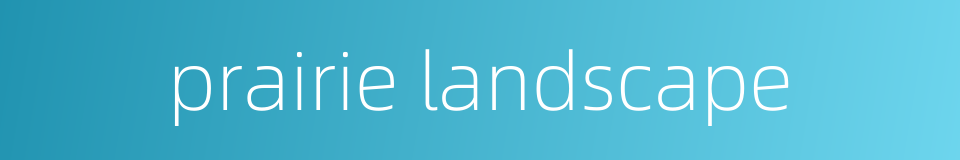 prairie landscape的同义词