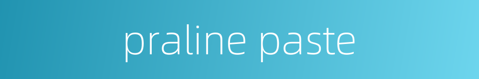 praline paste的同义词