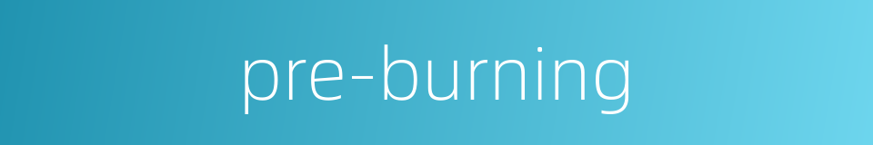 pre-burning的同义词