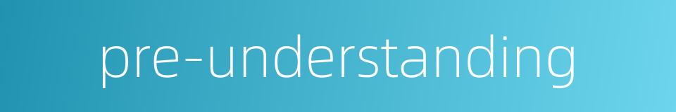 pre-understanding的同义词