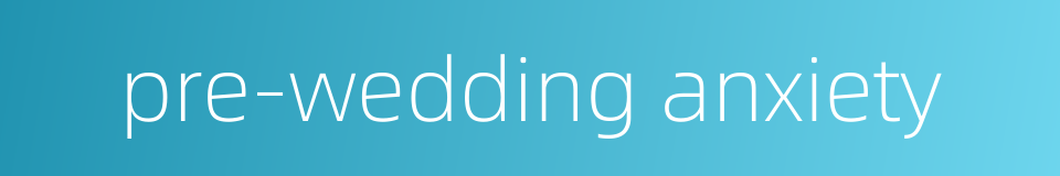 pre-wedding anxiety的同义词