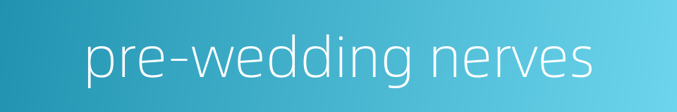 pre-wedding nerves的同义词