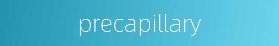 precapillary的同义词