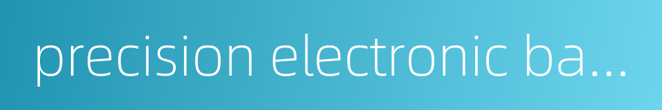 precision electronic balance的同义词