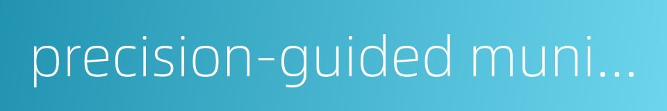 precision-guided munition的同义词