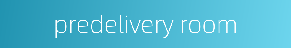 predelivery room的同义词