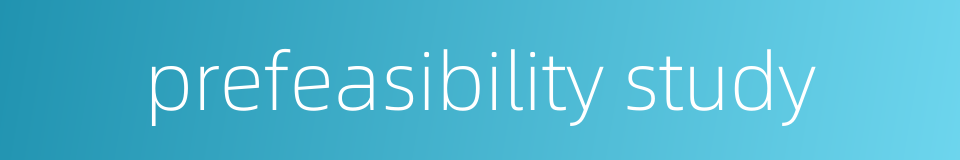 prefeasibility study的同义词