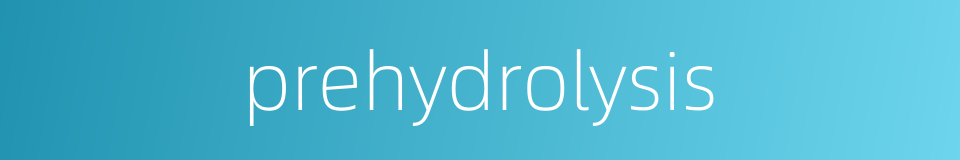prehydrolysis的同义词