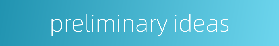 preliminary ideas的同义词