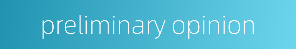 preliminary opinion的同义词