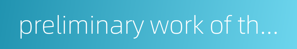 preliminary work of the project的同义词