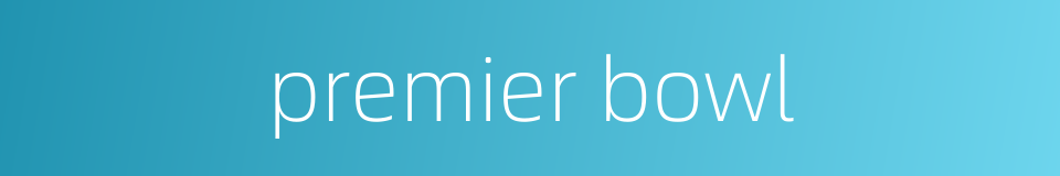premier bowl的同义词