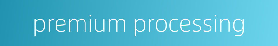premium processing的同义词