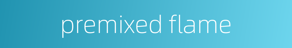 premixed flame的同义词