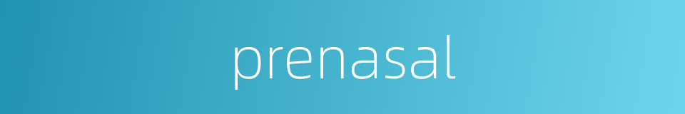 prenasal的同义词