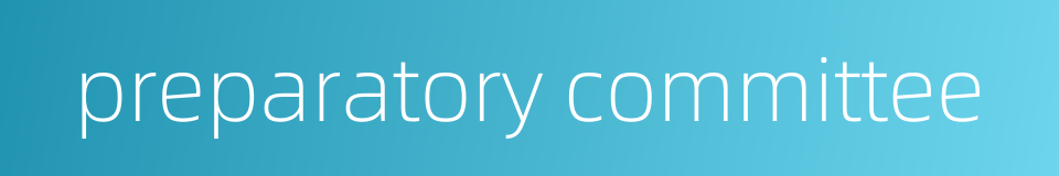 preparatory committee的同义词