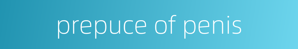 prepuce of penis的同义词