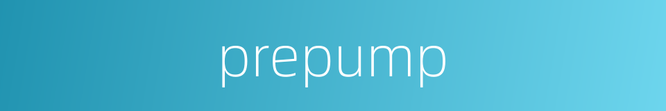 prepump的同义词