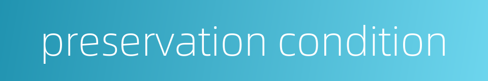 preservation condition的同义词