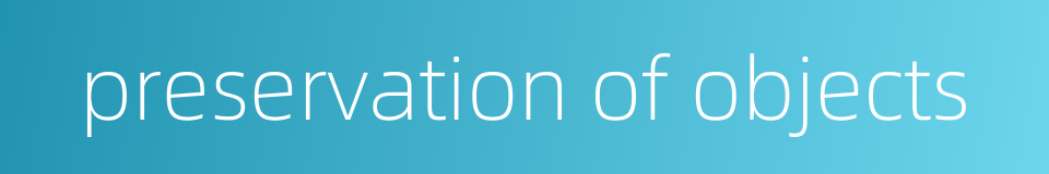 preservation of objects的同义词