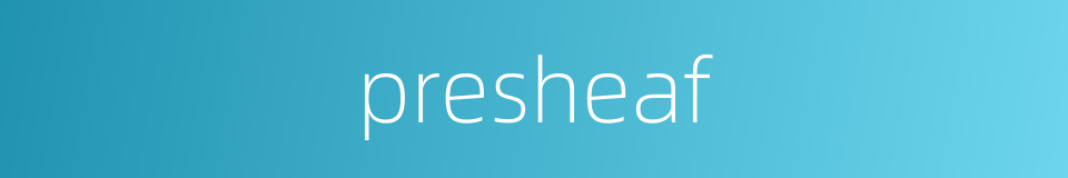 presheaf的同义词