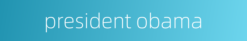 president obama的同义词