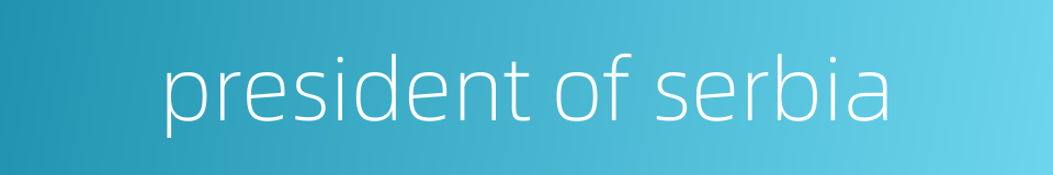 president of serbia的同义词