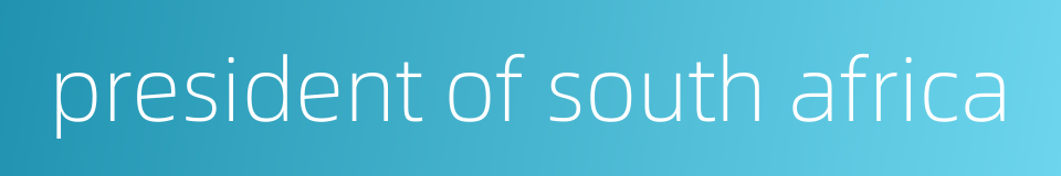 president of south africa的同义词