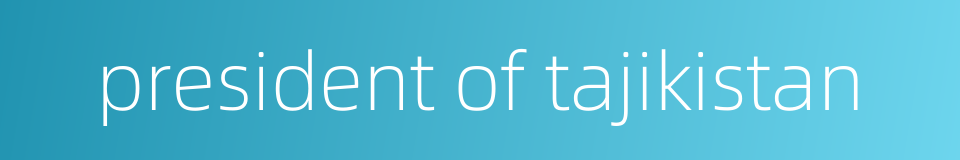 president of tajikistan的同义词