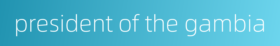 president of the gambia的同义词