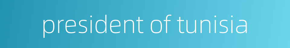 president of tunisia的同义词