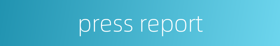 press report的同义词