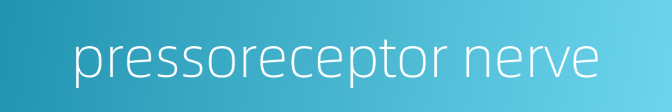 pressoreceptor nerve的同义词