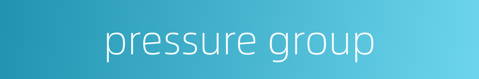 pressure group的同义词