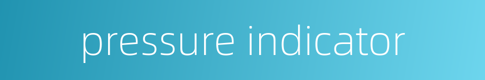 pressure indicator的同义词
