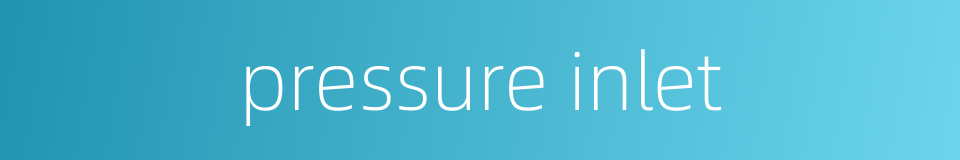 pressure inlet的同义词