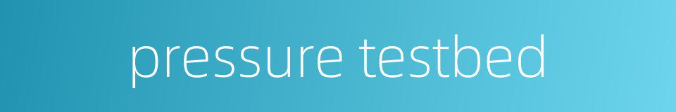 pressure testbed的同义词