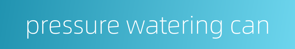 pressure watering can的同义词