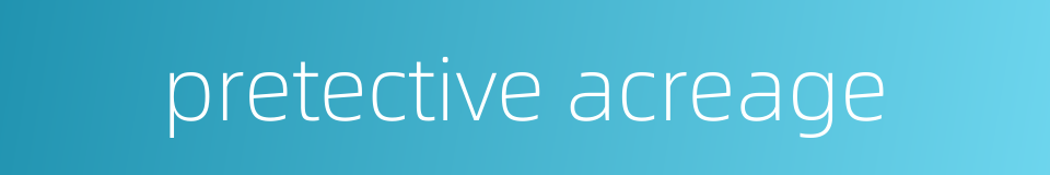 pretective acreage的同义词