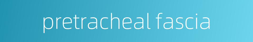 pretracheal fascia的同义词