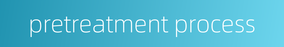 pretreatment process的同义词