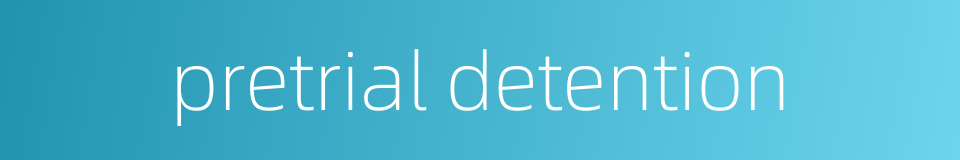 pretrial detention的同义词