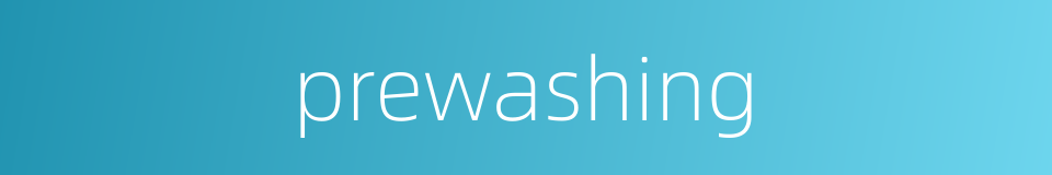 prewashing的同义词
