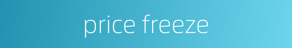 price freeze的同义词