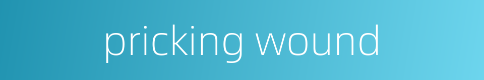 pricking wound的同义词